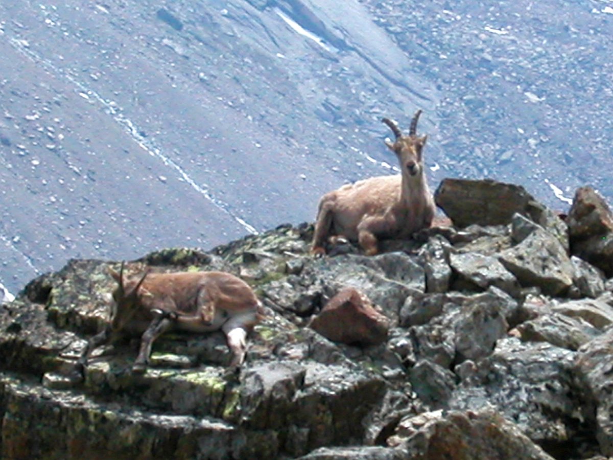 DSCN6455.JPG