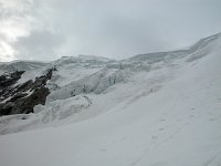 DSCN6461