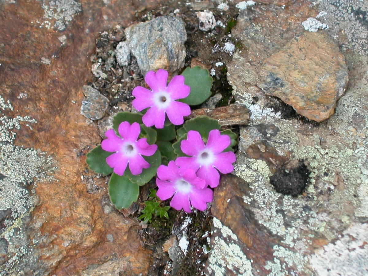 DSCN6518.JPG