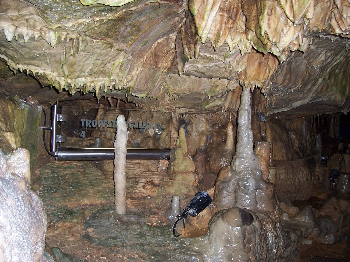 h1000194.JPG