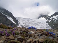 100_0738