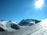 2010