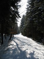 IMG_0092