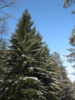 IMG_0093