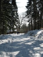 IMG_0096