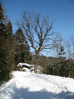 IMG_0097