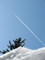 IMG_0107