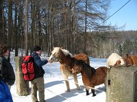 IMG_0116