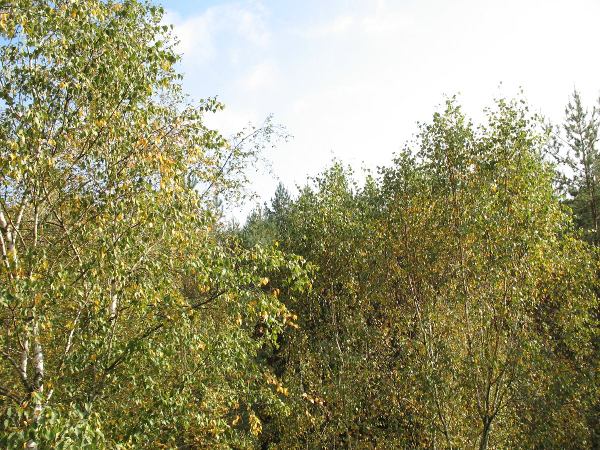 IMG_1765.JPG