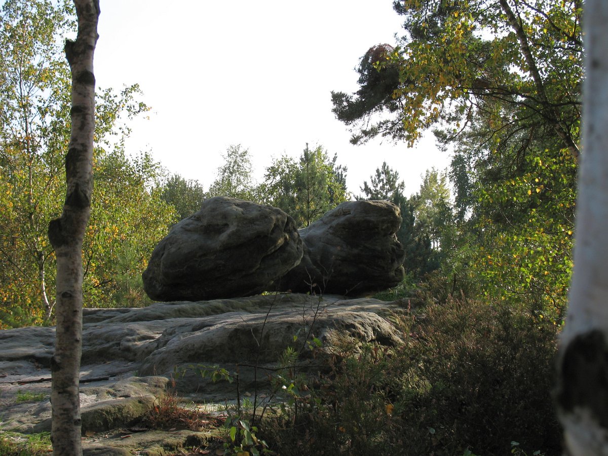 IMG_1780.JPG