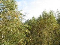 IMG_1765