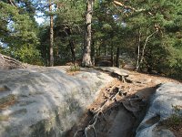 IMG_1799