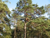 IMG_1800
