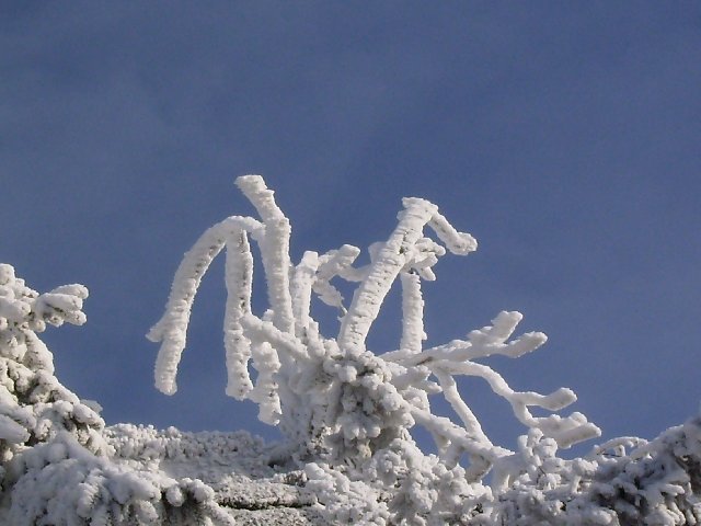 105.JPG