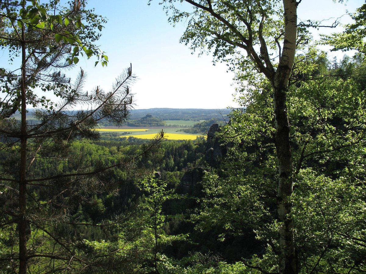 IMG_3121.JPG - Ausblick vom oberen Ende der Rotkehlchenstiege.