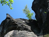 IMG_3098