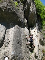 IMG_3222