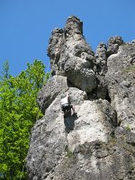 IMG_3231