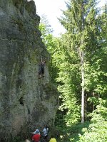 IMG_3294