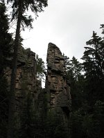 IMG_3493