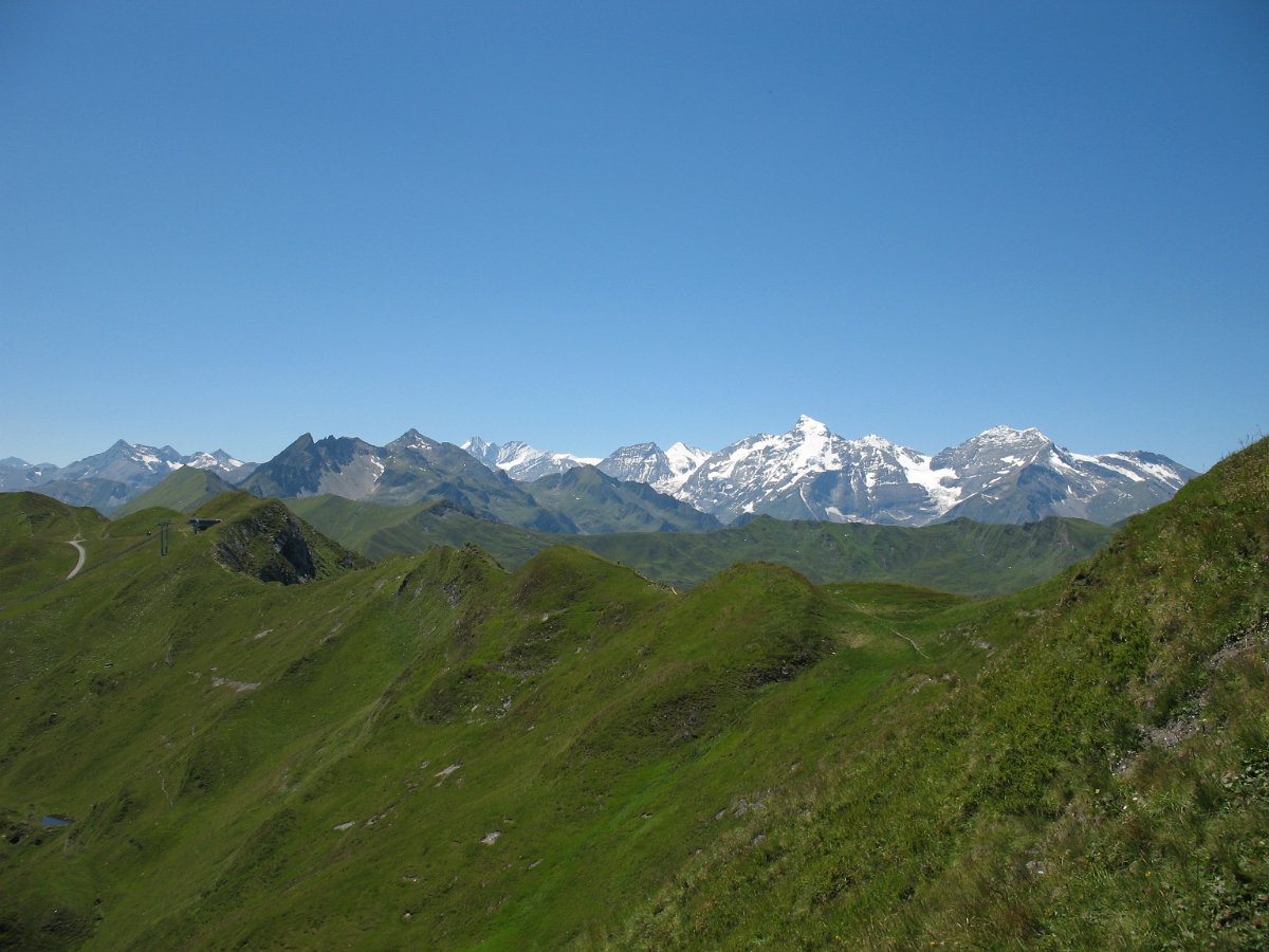 IMG_4121.jpg