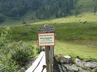 IMG_4302