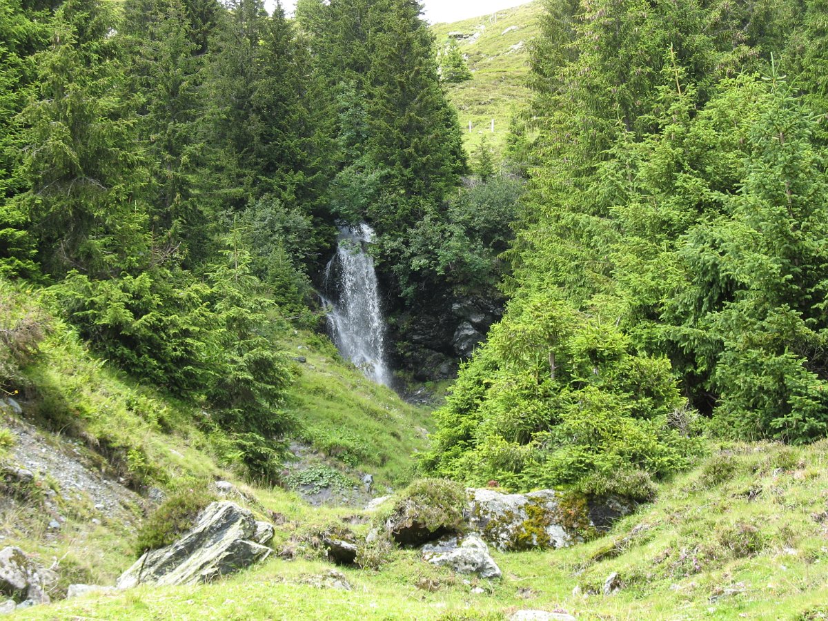 IMG_3796.jpg