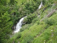 IMG_3812