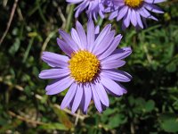 IMG_4054