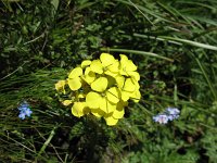 IMG_4191