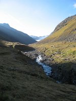IMG_4482