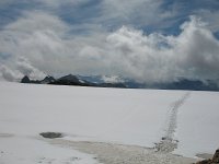 IMG_4505