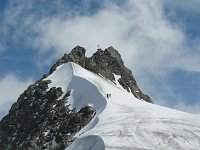 IMG_4511
