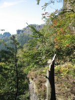 IMG_4701