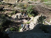 IMG_4707