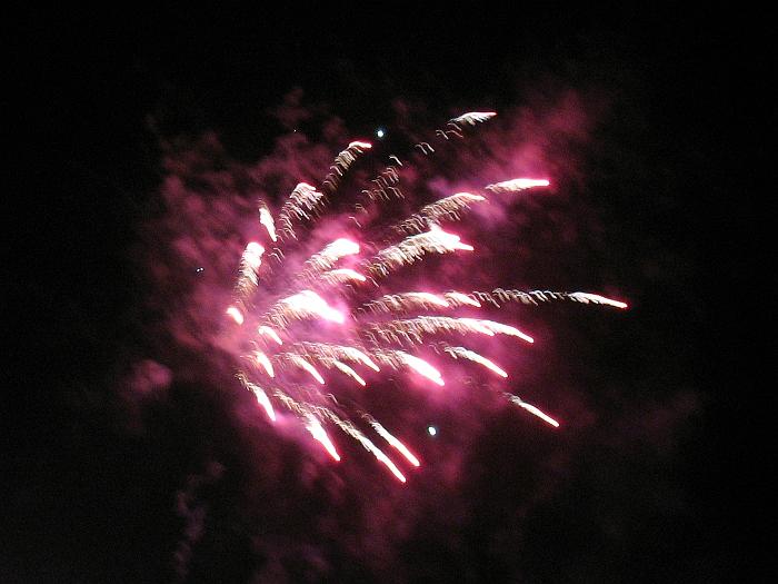 IMG_7704.jpg - ...
