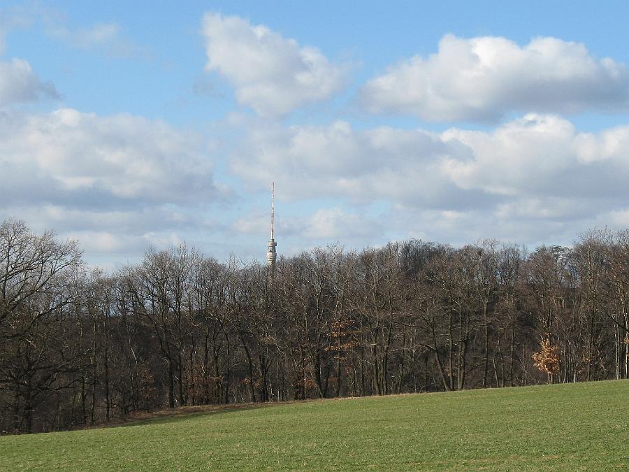 IMG_9324.JPG