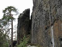 IMG_9464