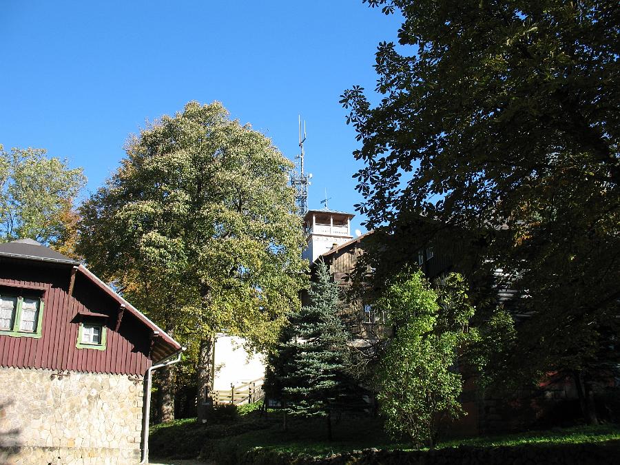 IMG_0915.JPG