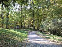 IMG_0909