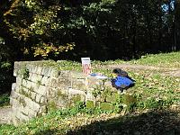 IMG_0916