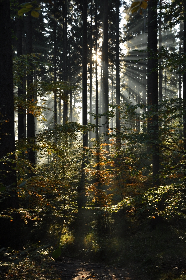DSC_7140.JPG