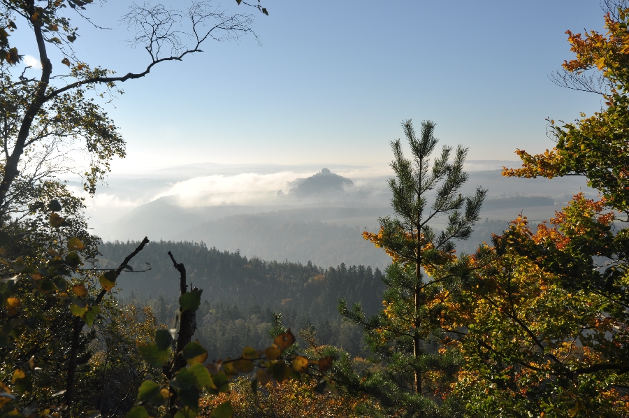 DSC_7184.JPG