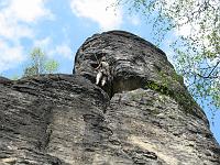 IMG_1318