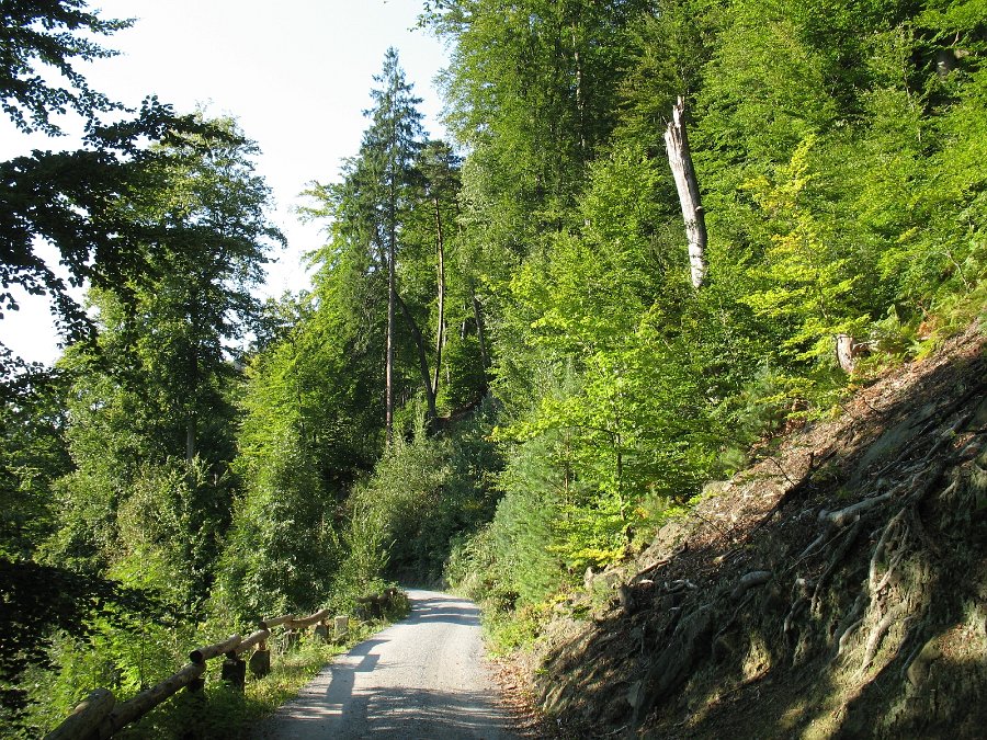 IMG_4871.JPG
