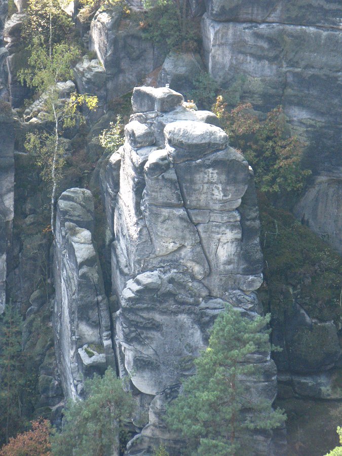 IMG_5387.JPG