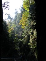 IMG_5381