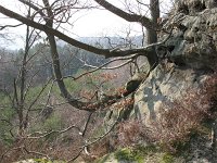IMG_3604