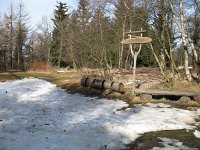 IMG_3509