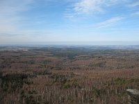 IMG_3539